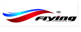Logo de FLYING POWER (JIANG XI) CO., LTD.